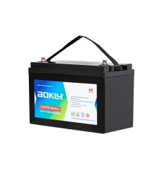 AOKLY 12V 100Ah LiFePO4-batteri