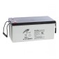 Ritar DC12-200D 12V 200Ah AGM-batteri